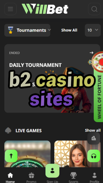 B2 Casino Sites - Best Business-to-Consumer Casinos-www.bdqngd.com
