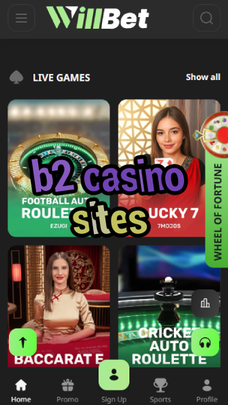 B2 Casino Sites - Best Business-to-Consumer Casinos-www.bdqngd.com
