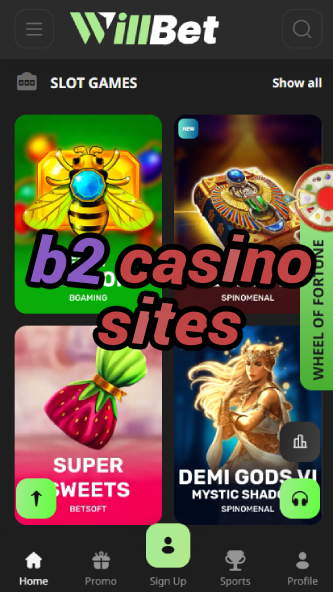 B2 Casino Sites - Best Business-to-Consumer Casinos-www.bdqngd.com